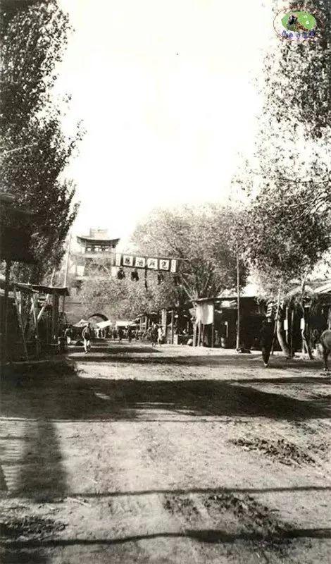 新疆，神秘多元魅力之地的探索与揭秘