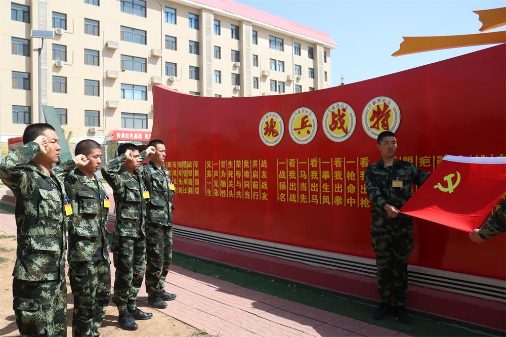 石家庄印象，魅力古城焕新颜🌟🏙️