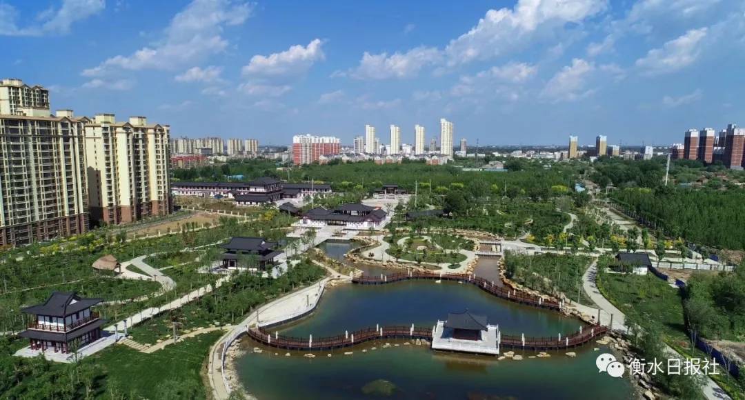 衡水现象，教育模式的利弊与深度反思