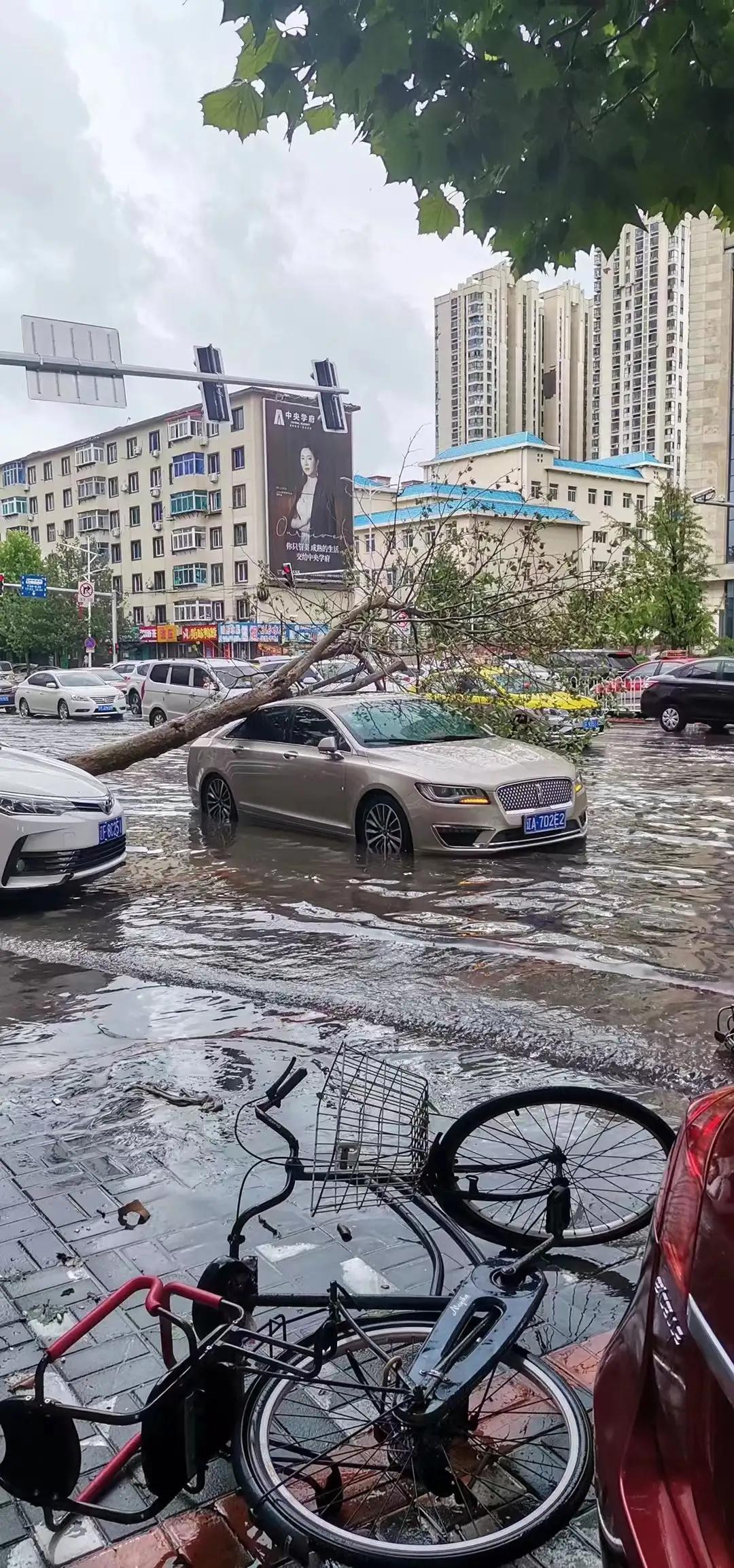 丹东，边境之城的美丽画卷🌇